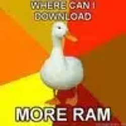 RAM / NVDA