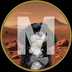 Marvin / SOL