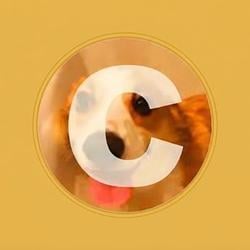 CORGI