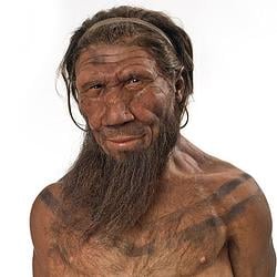 APE