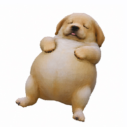 RABMON