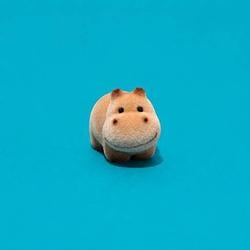 BabyHippo