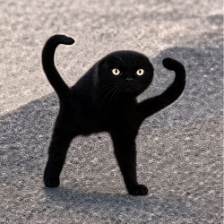 CCAT