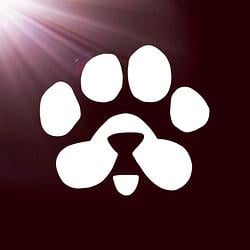 PAWS