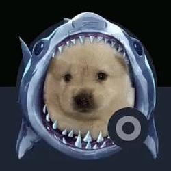 Sharkdog