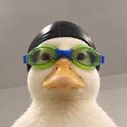 NASDUCK