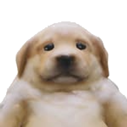 saddog / USDC