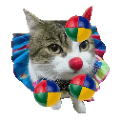 CLOWNCAT