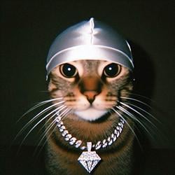 CASHCAT / SOL