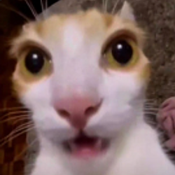 fsdhjk