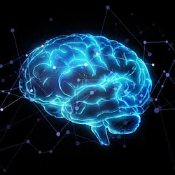 BRAINSEX