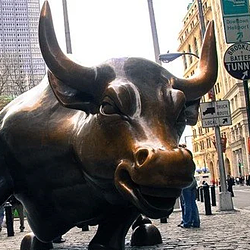 BULL / USDC