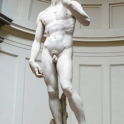 PENIS