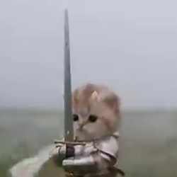 SWORDCAT