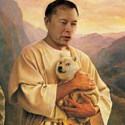 Muskism / SOL