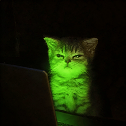 NIGHTSHIFT