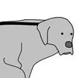 GrokDog