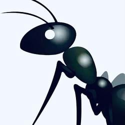 ANT