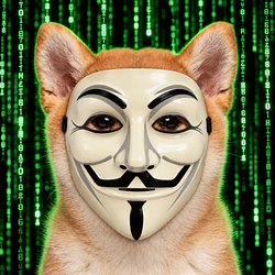 hackinu