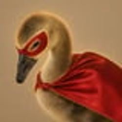 Goosey / SOL