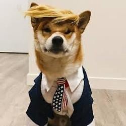 Trmpinu