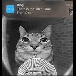 Motion