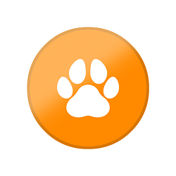 paw coin logo