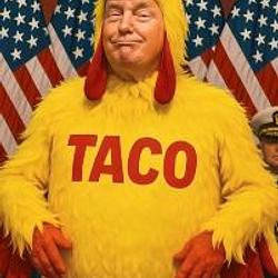 TRUMP TACO