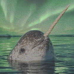 NEARWHAL