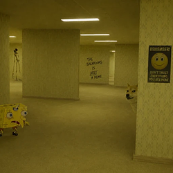 BACKROOM / SOL