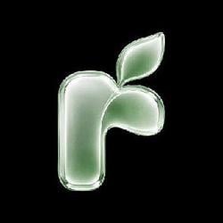 REBLOOM / WETH