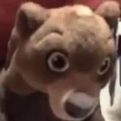 bearshock