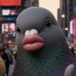 qird
