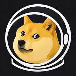 DOGE-1 / USDC