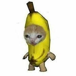 BBBCAT / WETH