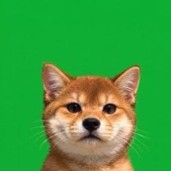 CATINU