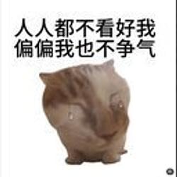 人人都不看好我偏偏我也不争气 / BNB