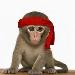 Apes
