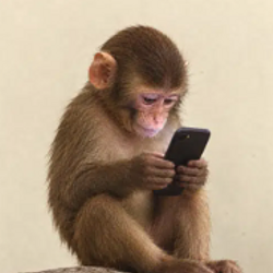FONE