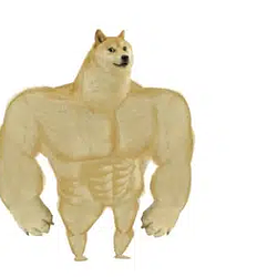 GIGADOGE