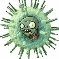 Vibrio