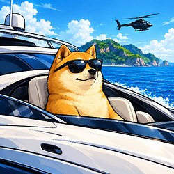 $YACHT