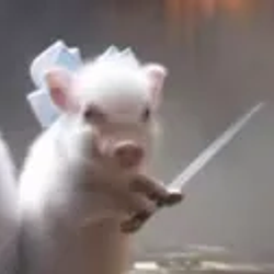 PIGNIC