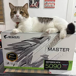 NVIDIACAT