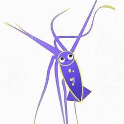 squid