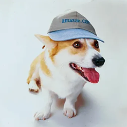 Rufus the Corgi