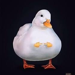 DUCK / SOL