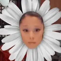 Petal / SOL