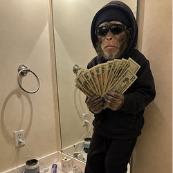 Black Ape