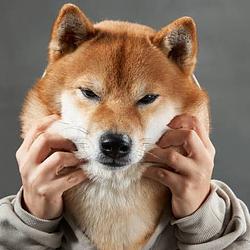 Humaninu
